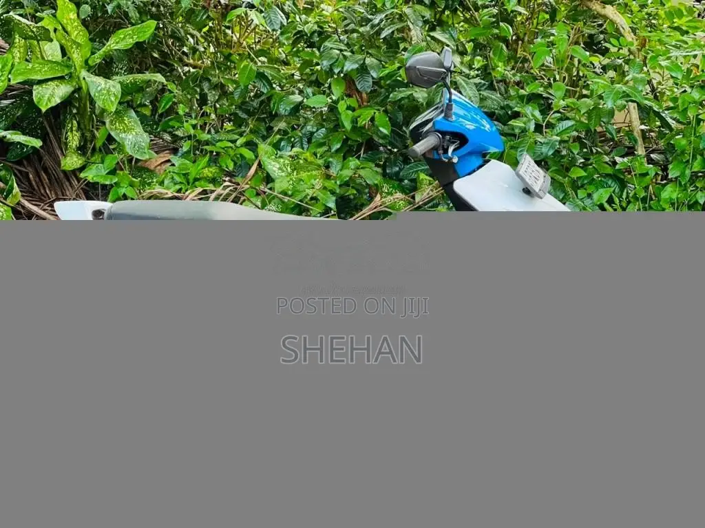 Honda Dio 2016 Motorbike (Used)