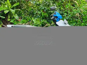 Honda Dio 2016 Motorbike (Used)