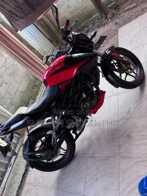Bajaj Pulsar 2019 Motorbike (Used)