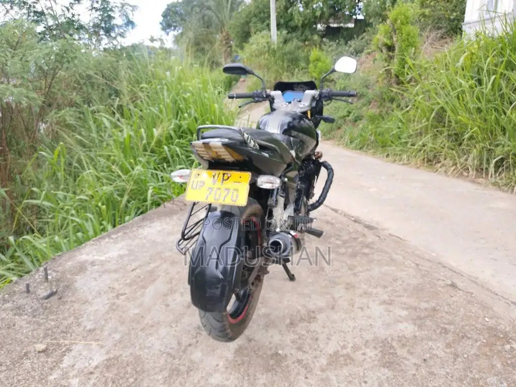 Bajaj Pulsar 2010 Motorbike (Used)