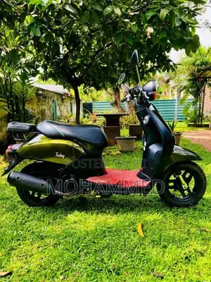 Honda 48cc 2025 Motorbike (Used)
