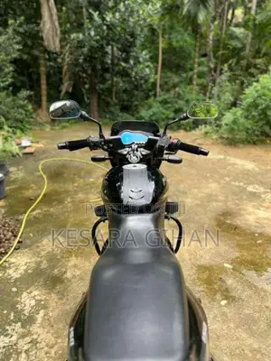 Bajaj Pulsar 2017 Motorbike (Used)
