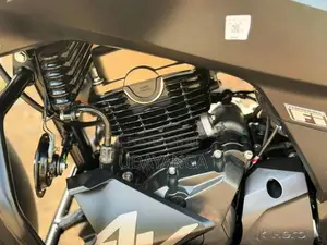 Hero Hunk 2025 Motorbike (Used)