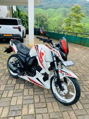 Yamaha FZ 2009 motorcycle (Used)
