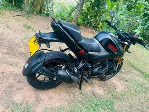 Hero Hunk 2025 Motorbike (Used)