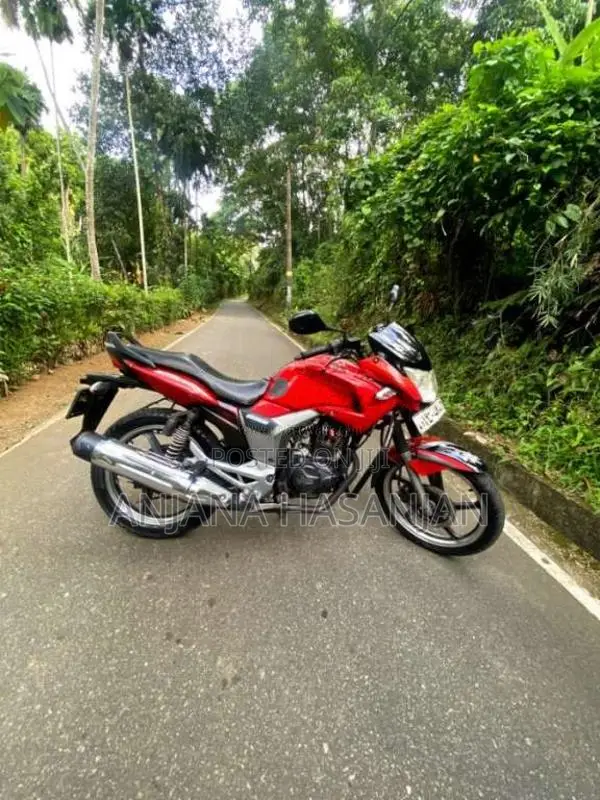 Hero-Honda Hunk 150 2008 Motorbike (Used)