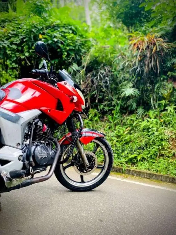 Hero-Honda Hunk 150 2008 Motorbike (Used)