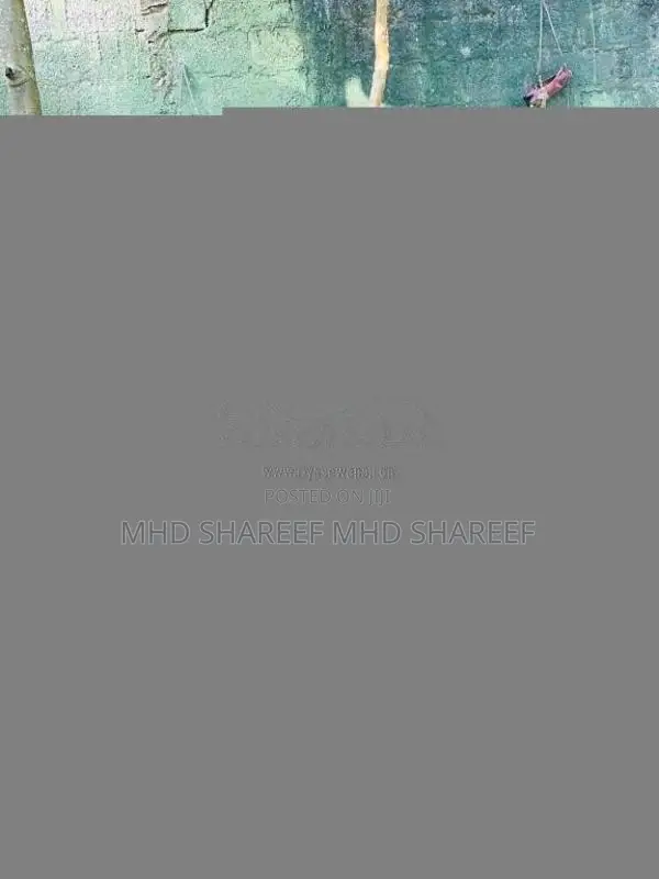 Bajaj Pulsar 150 2018 Motorbike (Used)