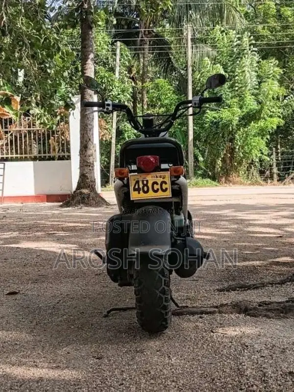 Honda Zoomer 2013 Motorbike Unregistered (Recondition)