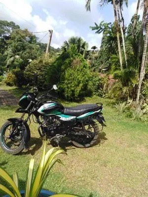 Bajaj Discover 125 2024 Motorbike (Used)