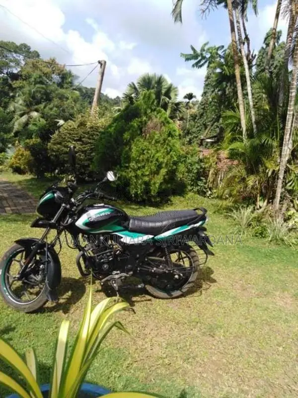 Bajaj Discover 125 2024 Motorbike (Used)