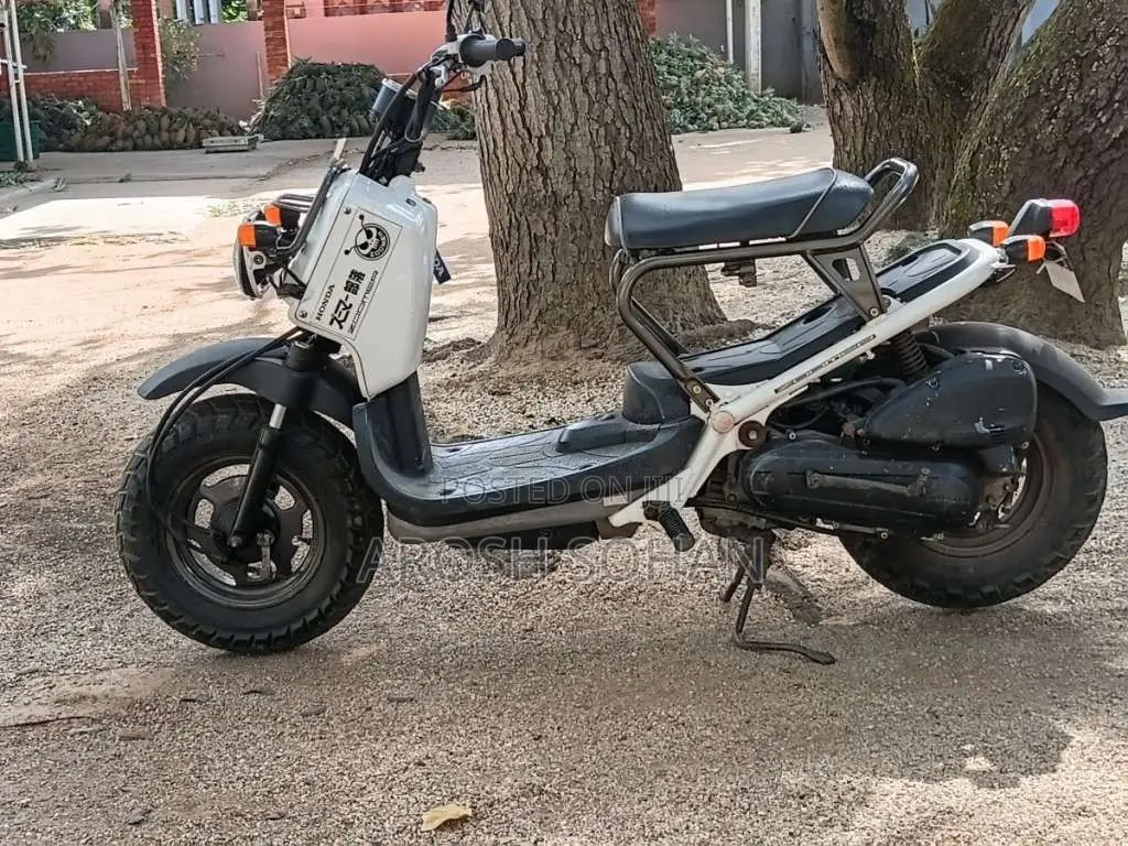 Honda Zoomer 2013 Motorbike Unregistered (Recondition)