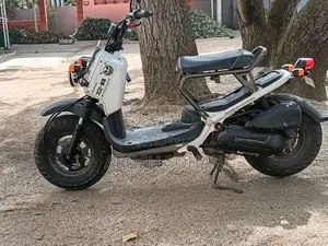 Honda Zoomer 2013 Motorbike Unregistered (Recondition)