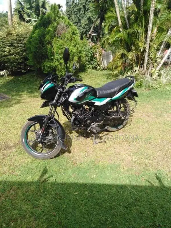 Bajaj Discover 125 2024 Motorbike (Used)