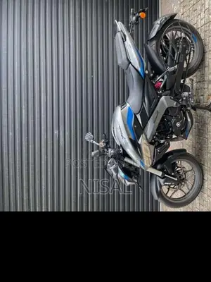 Bajaj Pulsar NS200 2025 Motorbike (Used)