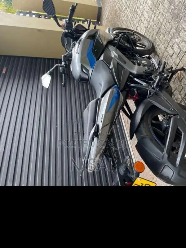 Bajaj Pulsar NS200 2025 Motorbike (Used)