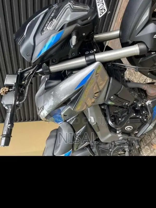 Bajaj Pulsar NS200 2025 Motorbike (Used)