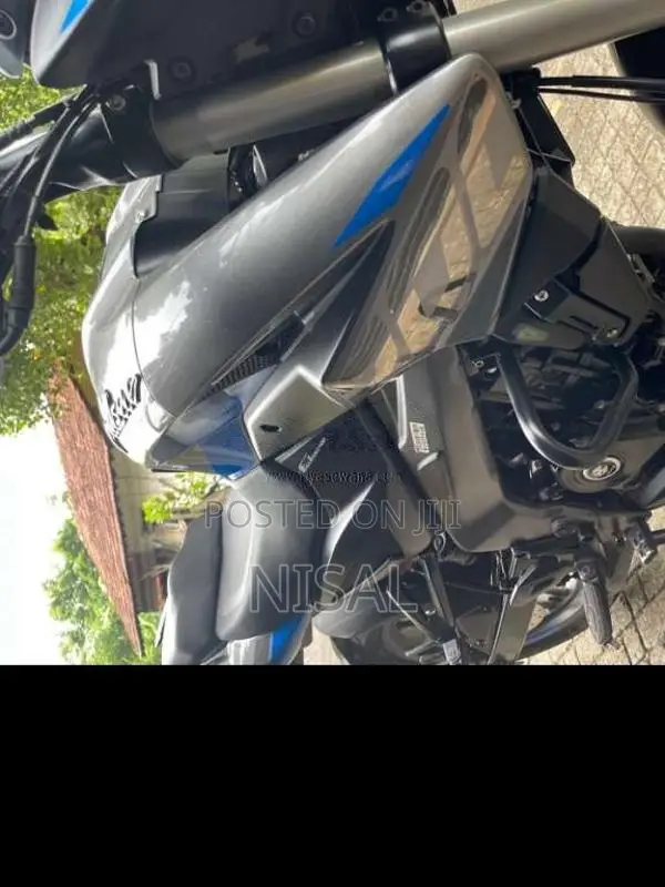 Bajaj Pulsar NS200 2025 Motorbike (Used)