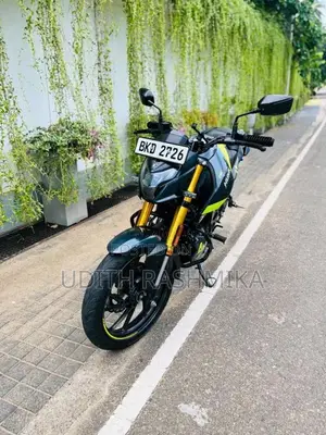 Hero Hunk 2025 Motorbike (Used)