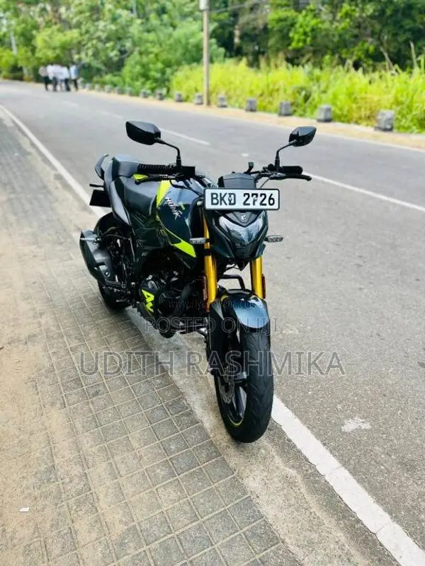 Hero Hunk 2025 Motorbike (Used)