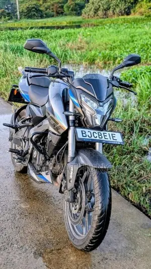 Bajaj Pulsar NS200 2025 Motorbike (Used)