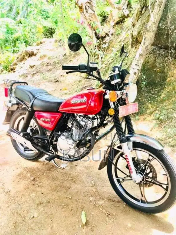 Senaro Gn 125 2025 Motorbike (Used)
