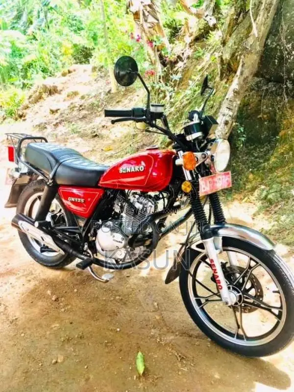 Senaro Gn 125 2025 Motorbike (Used)