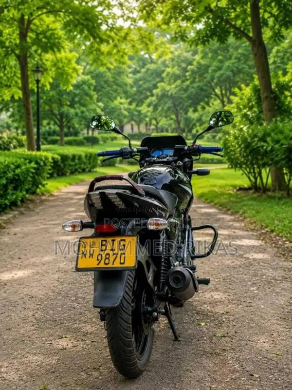 Bajaj Pulsar 150 2019 Motorbike (Used)