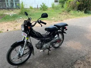 Singer Safari Light 2019 Motorbike (Used)