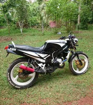 Yamaha Tzr125 1994 Motorbike (Used)
