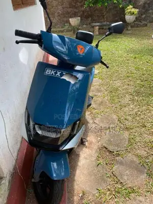 Yadea Ruibin 2025 Motorbike Brand New