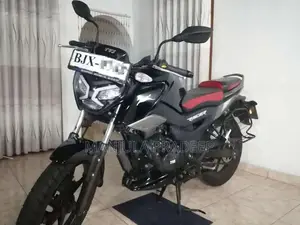TVS Raider 125 2025 Motorbike (Used)