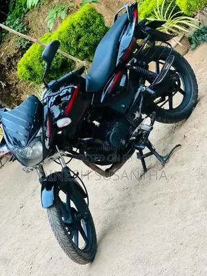 Bajaj Pulsar 150 2010 Motorbike (Used)