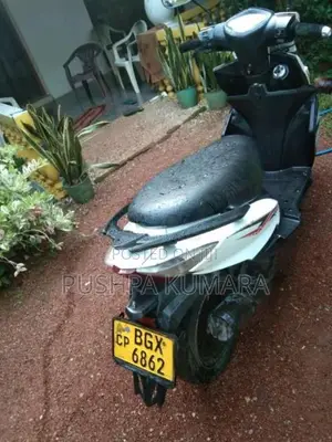 Ranomoto Pattaya 2019 Motorbike (Used)