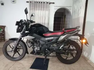 TVS Raider 125 2025 Motorbike (Used)