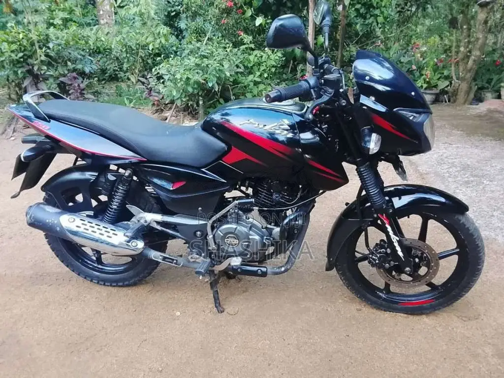Bajaj Pulsar 2019 Motorbike (Used)