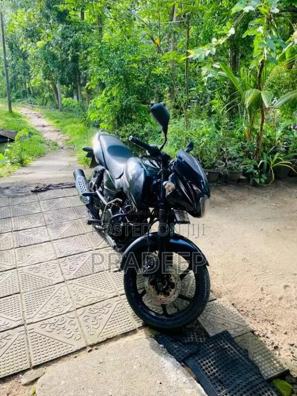 Bajaj Pulsar 150 2010 Motorbike (Used)