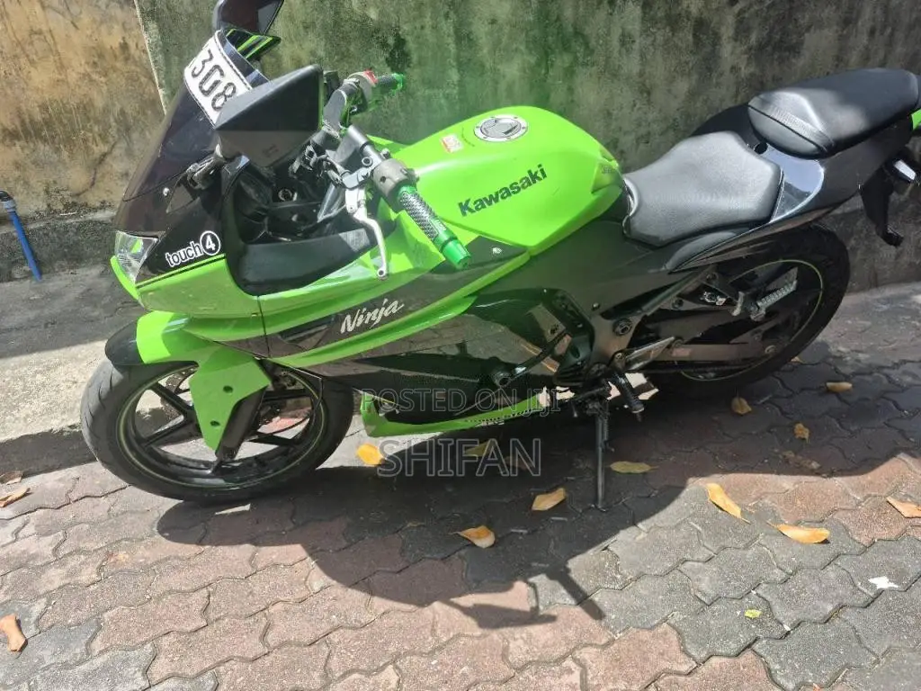 Kawasaki Ninja 250r 2010 Motorbike (Used)