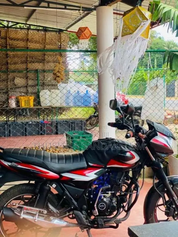 Bajaj Discover 125 2025 Motorbike (Used)