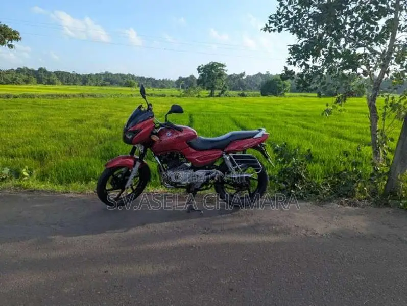 Bajaj Pulsar 2005 Motorbike (Used)