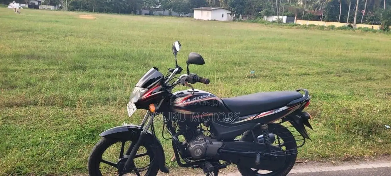 Bajaj Platina ES 2016 Motorbike (Used)