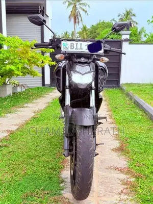 Yamaha FZ Version 3.0 2019 Motorbike (Used)