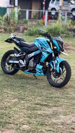 Bajaj Pulsar NS200 2014 Motorbike (Used)