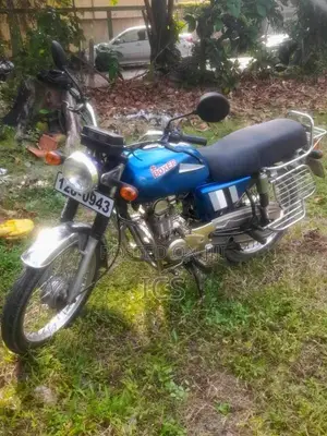 Kawasaki Boxer 1994 Motorbike (Used)