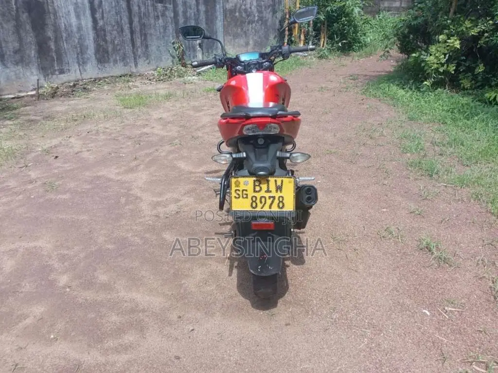 TVS Apache 160 2019 Motorbike (Used)