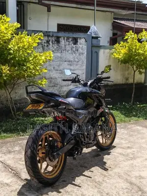 Bajaj N160 2024 Motorbike (Used)