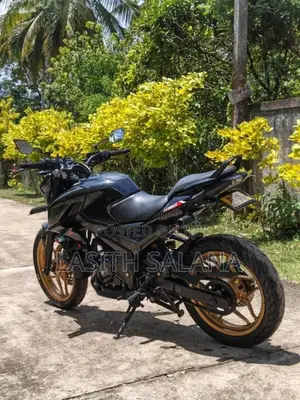 Bajaj N160 2024 Motorbike (Used)