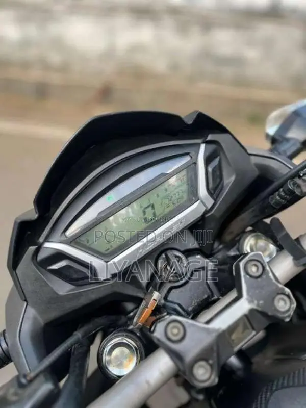Honda CB Hornet 2019 Motorbike (Used)