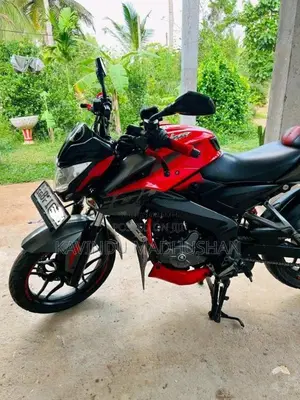 Bajaj Pulsar NS200 2017 Motorbike (Used)