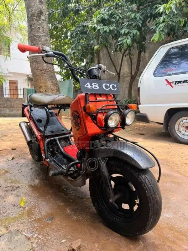 Honda Zoomer 2014 Motorbike Unregistered (Recondition)
